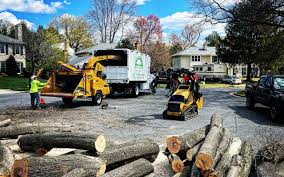 Reliable St Rose, LA Tree Services Solutions