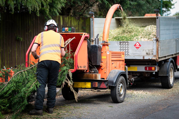 Best Tree Health Inspection  in St Rose, LA